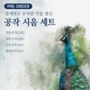 명품 보이차 대익차 공작차회 연말 티파티 후기