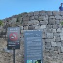 분오호