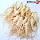 인삼 - 동대문구 고산자로36길 3 | 인삼