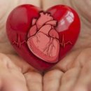 정직한 피트니스 이미지