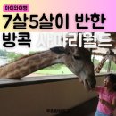 방콕 사파리월드 7살 5살 아이와 택시투어 후기