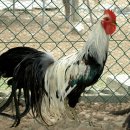 준호농장 이미지