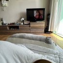 비스트로피자 광주서구점 이미지