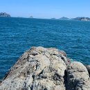 상사리(상) 이미지