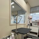 댕댕이발소 이미지