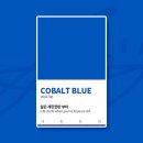 파랑청과 이미지