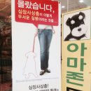 아마존동물병원 네이버블로그