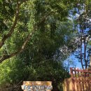 자유목장 이미지