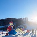 (주)하이원 | 하이원리조트 썰매장 기간 주차 식당 후기