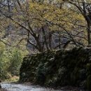 원좌회관 이미지