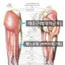 덩키 이미지