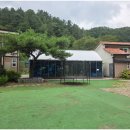 더숲852 이미지