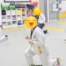 한양대 도담 태권도 이미지
