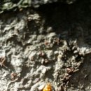 미추어린이집 이미지