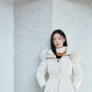 꼼빠니아 이미지