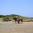 제주도 올레길 추천 1코스 광치기해변 나들이 및 근처횟집에서 자연산활어회 먹방 이미지