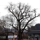 대흥민속 이미지