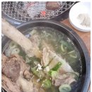 청년장어 이미지