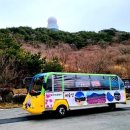 24년 4월19일 대구비슬산 1083M(진달래) & 옥포 송해공원 이미지
