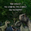 일하노래방 | 내게 5월 일상이 뭐냐고 물으신다면