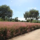 대원식당 이미지