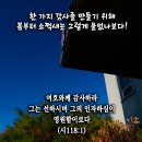 핸드폰 배경화면&잠금화면_20221120__20221120_시편 118편 1절_한 가지 감사를 만들기 위해 봄부터 소쩍새는 그렇게 울었 이미지