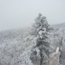 하나로의전