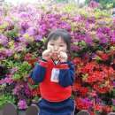 새동산어린이집 이미지