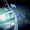 와이홀딩스