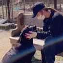 강아지 대통령 이미지