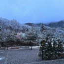 덕동리301캠핑장 이미지