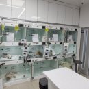 24시 아프리카동물병원 이미지