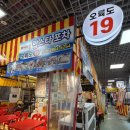 해운대 해물포차 | 해운대맛집 오륙도19호, 랍스터 포차 코스 제대로 즐겨본 솔직후기