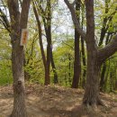 삼호3리 이미지