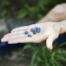 사봉농장 이미지