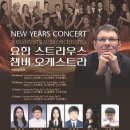 요한 스트라우스 챔버 오케스트라 이미지