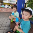 뉴월드안경 이미지