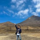 세븐일레븐꽃마을점 | 혼자 후쿠오카 여행 3월 날씨 옷차림 숙소 실시간 후기 &amp; 소소한 꿀팁