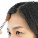 아미에헤어존