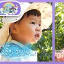 은우농장 티스토리