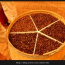 왈츠와 닥터만 커피박물관 이미지