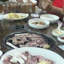 미가미생오리 이미지