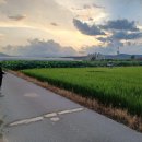 다음드론방제