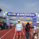 홍성마라톤대회(14.11.16) 이미지