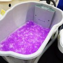 황언니 펫살롱 이미지