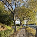 순천만 에코촌 | 순천 정원워케이션 에코촌 조식 한식 추천