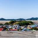 충남 태안 용신마을