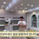 달링딜리버리 이미지