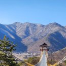 대명송어 이미지