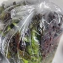 화서동 불불이 영양왕족발 배달후기 | 한방향 강하지 않은 담백한 족발 맛집